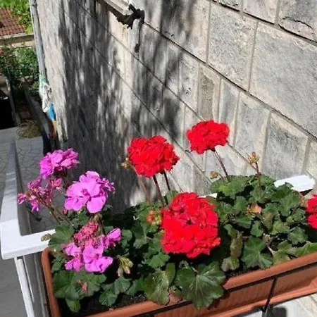 2 - Double With Shared Bathroom 1 * Dubrovnik